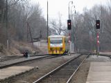 15.03.2011 - Žďárec u Sk.: 814.137-6/914.137-5 přijíždí jako Os 5331/6244 Pardubice hl.n. - Hlinsko v Č. © PhDr. Zbyněk Zlinský