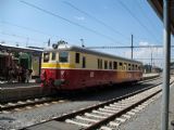 03.07.2010 - Šumperk: jediný v ''polomáčanom'' vydaní © Martin Hajtmanský