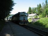 03.07.2010 - Ramzová: zástupca z rodu ''okuliarnikov'' - 754.022 v čele Sp 1704 © Martin Hajtmanský