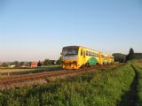 21.08.2010 - Babice u Šternberka: Regionova Trio 814.231/232 a jej Os 13706 © Martin Hajtmanský