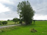 24.06.2011 - Chotěboř: krajina podél vojenské vlečky č. 26 – Chotěboř-Bílek (foto z 851.032-3) © PhDr. Zbyněk Zlinský