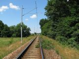 12.07.2011 - Hradec Králové, spojka: v popředí plantáž ostružin SŽDC, v pozadí most přes Labský náhon © PhDr. Zbyněk Zlinský