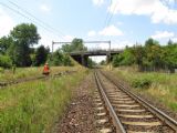 12.07.2011 - Hradec Králové, odb. Plačice: vlevo kolej spojky a fotící Zbyněk, vpravo trať 020 směrem k Praskačce © Karel Furiš