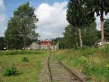 06.08.2011 - Kořenov: kolej vedoucí k točně bývalé výtopny jsme nikdy pro trávu či sníh neviděl © PhDr. Zbyněk Zlinský