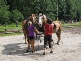 06.08.2011 - Kořenov: animální trakce zvíci dvou koňských sil je uváděna do provozního stavu © PhDr. Zbyněk Zlinský