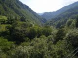 Bohinjska proga: zalesněné údolí řeky Soči u Hudajužné	3.7.2011	© Jan Přikryl