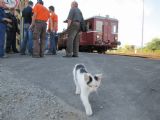 17.09.2011 - Suchdol nad Odrou: kočička na inspekci © Karel Furiš