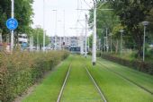 Rotterdam: typický tramvajový svršek v síti, zde u zastávky Grote Hagen	. 17.8.2011	 © Lukáš Uhlíř