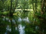 14.6.2011	Další z kouzelných zákoutí Vrela Bosne	©	Rastislav Štangl