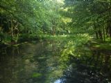 14.6.2011	Další z kouzelných zákoutí Vrela Bosne	©	Rastislav Štangl