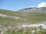 17.6.2011	Pohoří Bjelašnica ve své jižní části	©	Aleš Svoboda