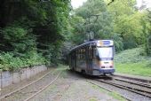 Klasická tramvaj opouští na lince 44 konečnou Tervuren a míří do Bruselu na Montgomery	. 21.8.2011	 © Lukáš Uhlíř