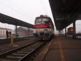 240.051-3, ktorá ťahahala môj vlak do Nových Zámkov, © Oliver Dučák