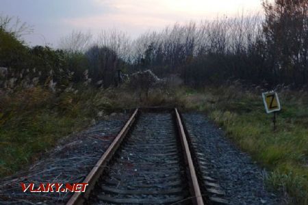 5.11.2011 - Plavecký Mikuláš: ...po pár metroch sa však koľaj v smere na Plavecké Podhradie stráca v džungli © Dávid Šajgalík