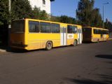 Tokaj: skoro třicetiletý autobus Ikarus, odkoupený z býv. NDR, čeká před nádražím na další výkony	1.10.2011	. © Jan Přikryl