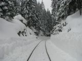 21.01.2012 - Harrachov: trať směr Kořenov © PhDr. Zbyněk Zlinský