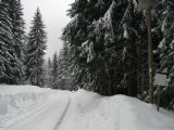 21.01.2012 - Harrachov: trať ke státní hranici © PhDr. Zbyněk Zlinský