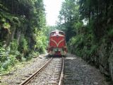 06.08.2011 - Harrachov: 715.003-0 (T 426.003) na postrku Os 25483 ''Zubačka 2011'' © PhDr. Zbyněk Zlinský