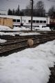 Sarajevo: toulaví psi a Talgo, dnešní obvyklý obrázek v depu Rajlovac	9.3.2012	 © Lukáš Uhlíř