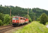 Místní stálice 1142.542, Spital am Semmering, 10.06.2012 © Lukáš Hučko