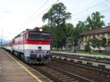 754.004-0, Vrútky, Ex 220 Detvan, 2.6.2012 © lacino.h