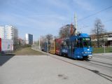 Cottbus/Chośebuz: tramvaj typu KTNF6 přijíždí do zastávky Stadtpromenade na okraji centra města	. 19.4.2012 © 	Aleš Svoboda