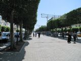 07.06.2012 - Tunis: dopolední nálada na Avenue Habib Bourguiba © PhDr. Zbyněk Zlinský