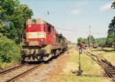 25.06.2005 - Třemešná ve Slezsku: 742.453 © Radek Hořínek