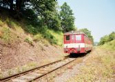 24.06.2006 - Třemešná ve Slezsku: 831.234, Os 3561 © Radek Hořínek