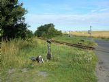 31.7.2012 - Stod.: fotoflek a čekání na průjezdy vlaků © Karel Furiš