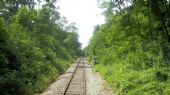 Wutachtalbahn: udržovací práce v okolí trati mezi zastávkou Wutachblick a nádražím Fützen	4.7.2012	 © Jan Přikryl