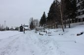 19.01.2013 - Rokytnice v O.h.: nákladiště (v zimě obsluhováno jednou týdně) s pochodujícím Karlem © PhDr. Zbyněk Zlinský