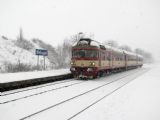 23.02.2013 - Střelice dolní: 854.209-4 na Os 4446 © Karel Furiš