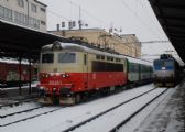 23.02.2013 - Brno hl.n.: 242.210, Os 4617 + 362.116, R 869 Punkva/R 905 © Radek Hořínek