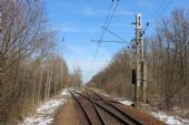 23.03.2013 - Stéblová: z trati směrem k Opatovicím n.L. odbočuje nevyužívaná vlečka DITON © PhDr. Zbyněk Zlinský