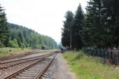 06.07.2013 - Kořenov: 310.0134 se soupravou zvláštního vlaku v pozadí, Důlní železnice 450 mm vpravo © PhDr. Zbyněk Zlinský