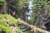 06.07.2013 - Harrachov: šotouši nad tratí hledají místečka, Karel (první vlevo) borůvky © PhDr. Zbyněk Zlinský