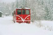 12/2005 - Hůrky: na Českou Kanadu trošku sněží... © Mixmouses