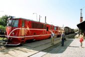 09/2006 - Kamenice n. Lipou: přehlídkový nákladní vlak © Mixmouses