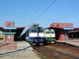 06.09.2004 - Pardubice hl.n.: ''krysa'' 350.018-8 ZSSK na EC 79 ''Csárdás'' Praha hl.n. - Budapest-Nyugati pu a 150.022-2 (R 621) © PhDr. Zbyněk Zlinský