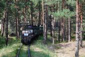 09.07.2013 - Hel: Koniec vlaku aj s obranným vozňom © Lukáš Holeš