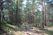 09.07.2013 - Hel: Metre pribúdajú, trať sa stále kľukatí borovicovým lesom © Lukáš Holeš