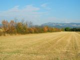 12.08.2013 - Je léto nebo podzim? Krajina u obce Weikersdorf am Steinfelde © Marek Topič