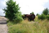 10.07.2013 – Kościerzyna: Kúsok za skanzenom, prvá parná lokomotíva z mnoha © Lukáš Holeš