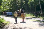 14.9.2013 - Solvayovy lomy: součástí oslav byly i projížďky na koních © Mixmouses