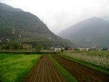 Tirano: západní část zástavby města v údolí Alta Valtellina z vlaku u zastávky Villa di Tirano	26.4.2013	 © 	Jan Přikryl