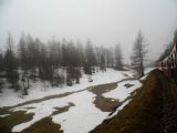 Řídký horský les ve výšce 1900 m.n.m. poblíž výhybny Stablini na Berninabahn	26.4.2013	 © 	Jan Přikryl