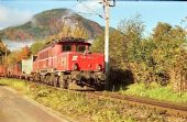 25.10.1994 - Thörgl-Maglern: 1020.022-8 ÖBB © Václav Vyskočil