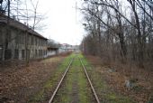 12.01.2014 - Cieszyn: km 38,1: Naľavo sa nachádzajú vlečkové koľajnice © Lukáš Holeš