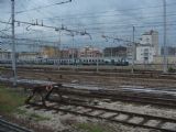 28.07.2013 - Milano Centrale: Opustená postaršia súprava čaká na svoj výkon © Martin Kóňa